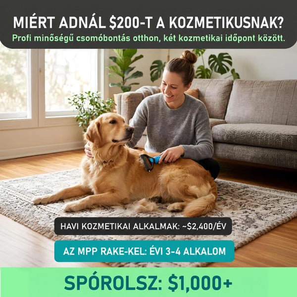 Nő a nappaliban egy arany szőrű kutyát fésül a kék gereblyével, mellette kihullott szőrcsomók a szőnyegen. 2