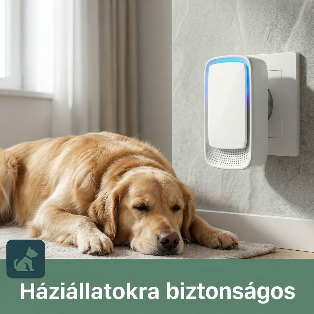 A fali konnektorban lévő ionizátor mellett egy aranyszínű kutya alszik a szőnyegen 2