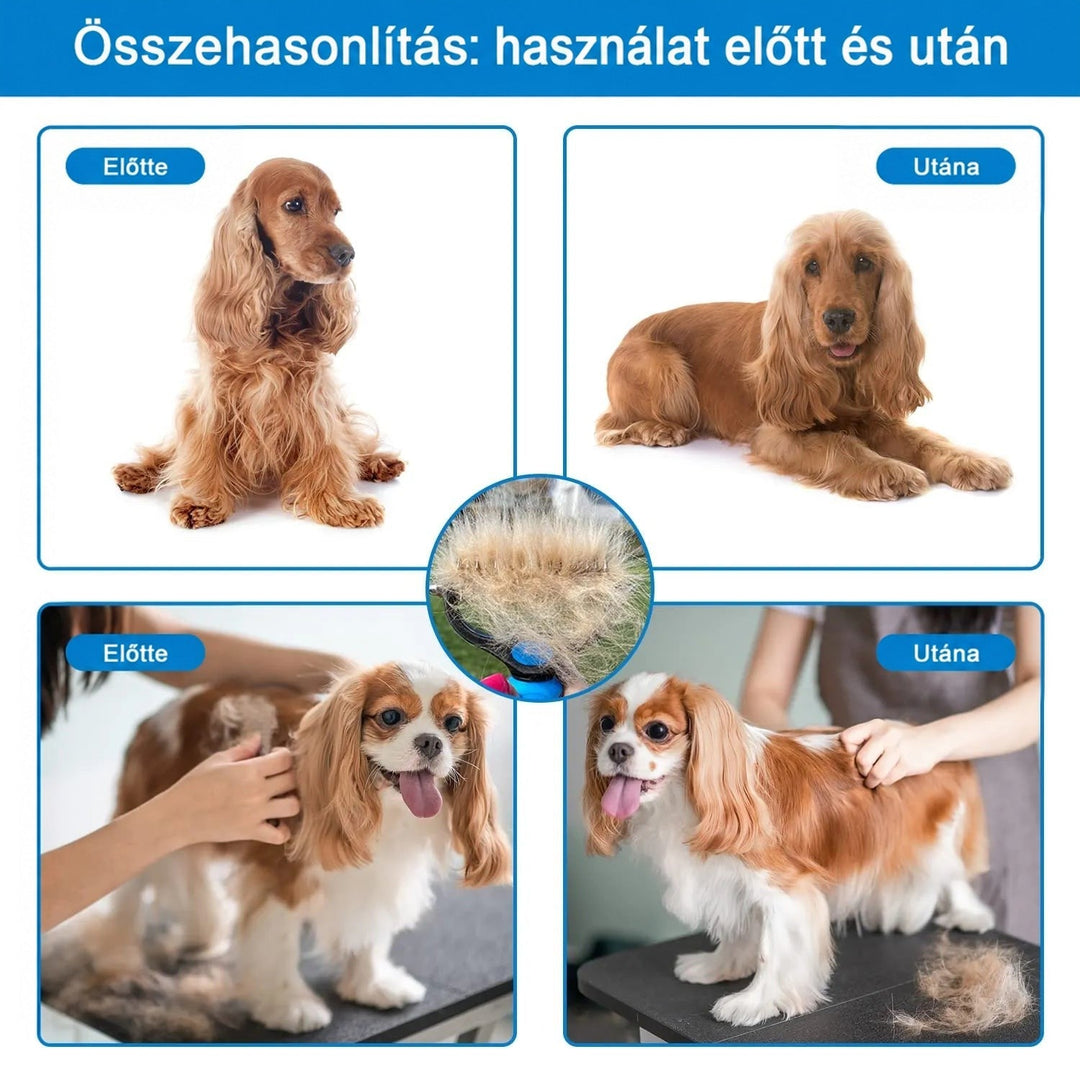 Négyes összehasonlítás két kutyáról fésülés előtt és után, középen a gereblyébe gyűlt szőrcsomóval. 6