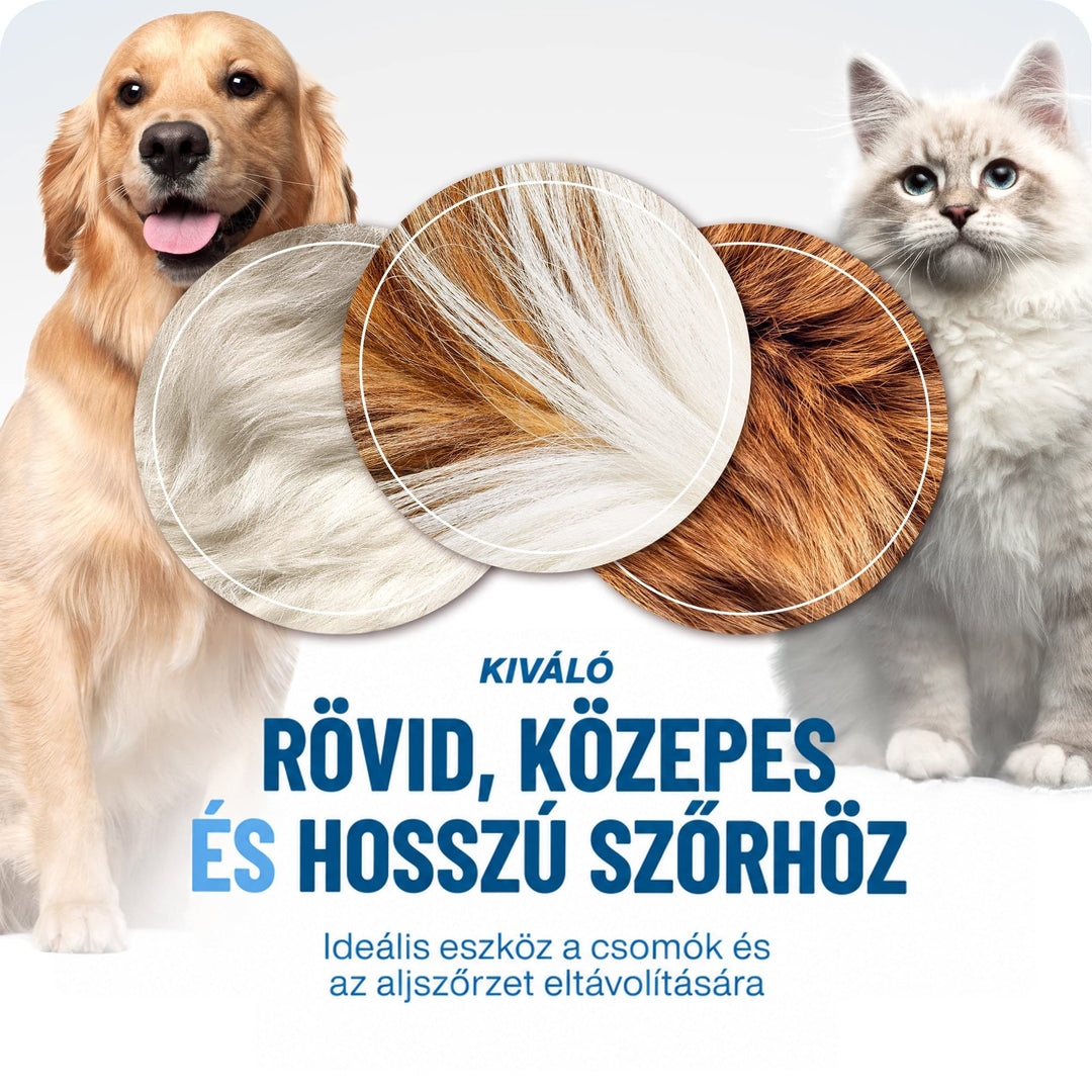 Egy arany szőrű kutya és egy hosszú szőrű, világos macska, közöttük három szőrminta-közeli kép különböző szőrhosszúságokról. 5