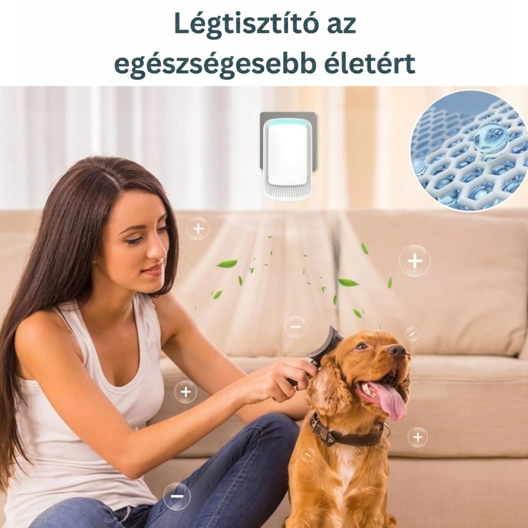 Nő kefével fésüli a kutyáját a kanapén, a falon ionizátor, a levegőben ionjelek lebegnek 10