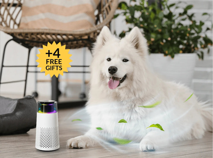 Állatok Illat Párásító - PetFresh