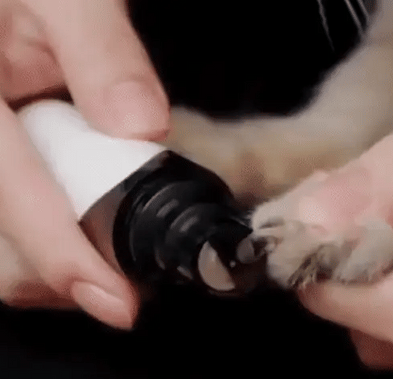 Elektronikus Kutyakörömvágó – PawTrim