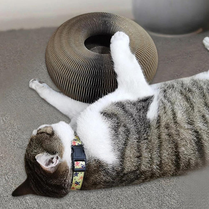 Aktív Játéköröm a Macskádnak - PurrFit