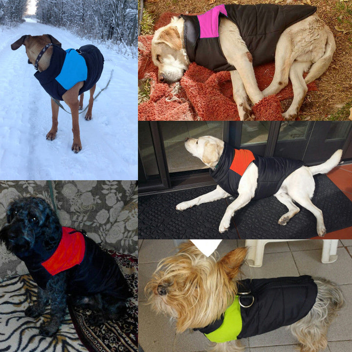 Meleg és Vízlepergető Kutyakabát - WarmPaws