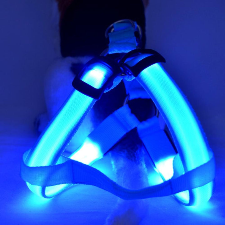 LED-es kutyahám - Glow&Go
