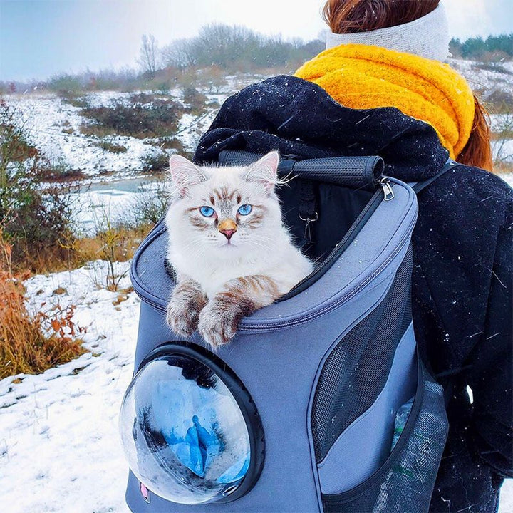Kiscicák Rejtője - CatTrekker