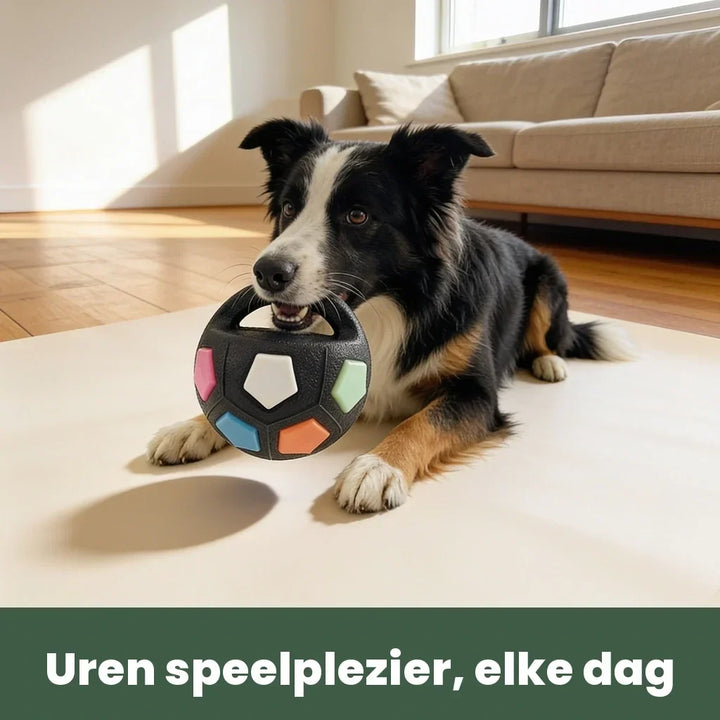 Fekete-barna kutya fekszik a napfényes nappaliban, szájában a színes betétes, fogantyús fekete labdával.