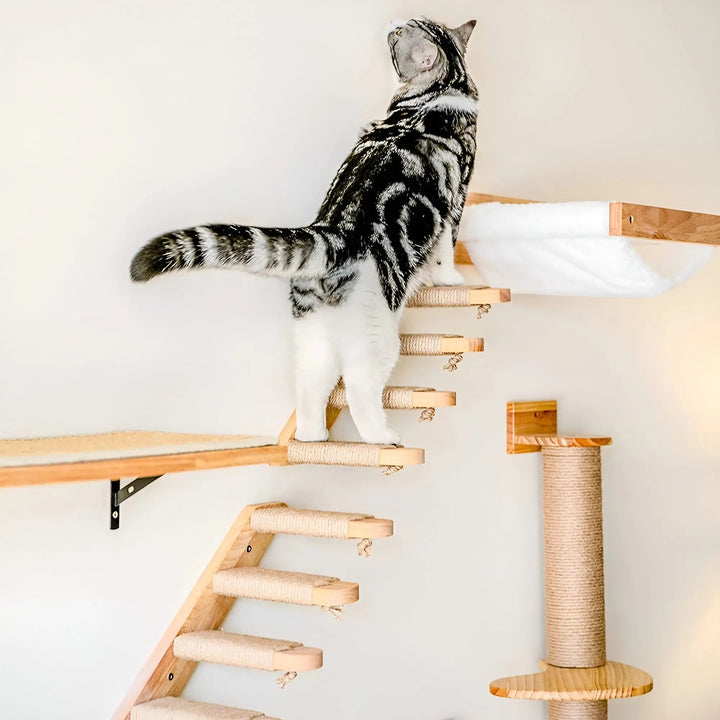 Falankmászó fal macskáknak kaparófával - ClimbPaws