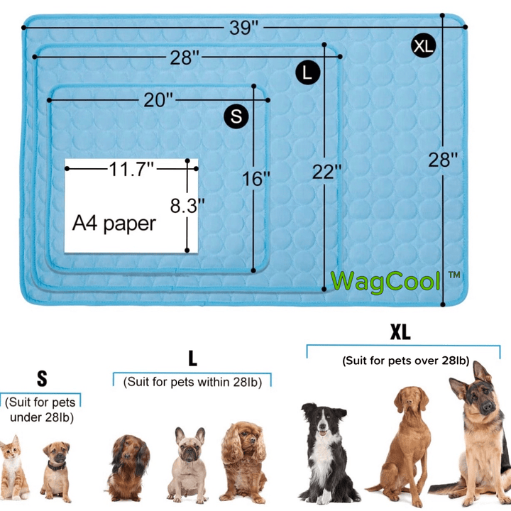Hűsítő Kutyaszőnyeg - CoolPet Mat