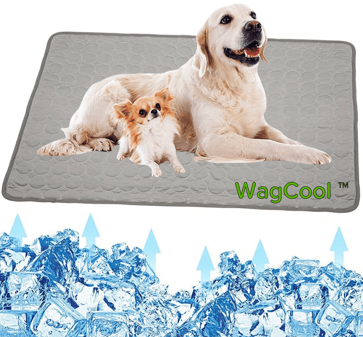 Hűsítő Kutyaszőnyeg - CoolPet Mat