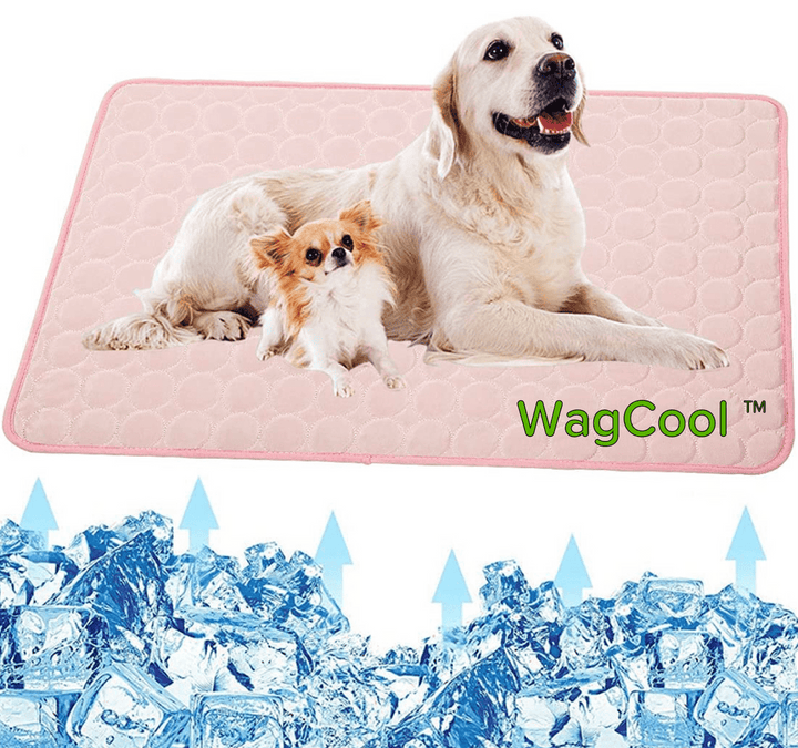 Hűsítő Kutyaszőnyeg - CoolPet Mat